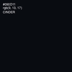 #090D11 - Cinder Color Image