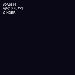 #0A0816 - Cinder Color Image