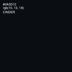 #0A0D12 - Cinder Color Image