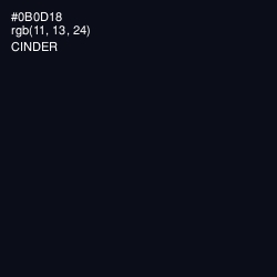 #0B0D18 - Cinder Color Image