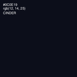 #0C0E19 - Cinder Color Image