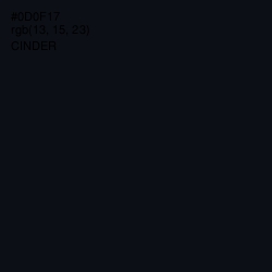 #0D0F17 - Cinder Color Image