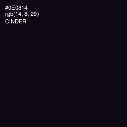 #0E0814 - Cinder Color Image