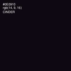 #0E0910 - Cinder Color Image