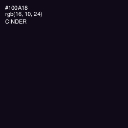#100A18 - Cinder Color Image