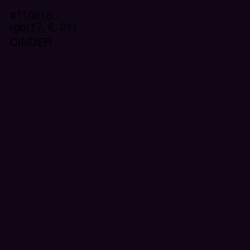 #110615 - Cinder Color Image