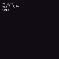 #110C14 - Cinder Color Image