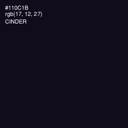 #110C1B - Cinder Color Image