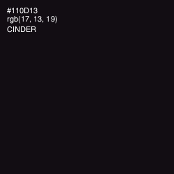 #110D13 - Cinder Color Image
