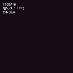 #150A16 - Cinder Color Image