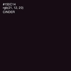 #150C14 - Cinder Color Image
