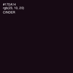 #170A14 - Cinder Color Image