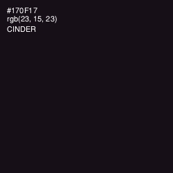 #170F17 - Cinder Color Image