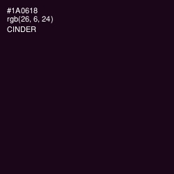 #1A0618 - Cinder Color Image