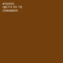 #723F0D - Cinnamon Color Image