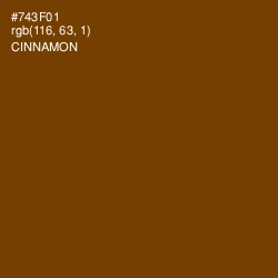 #743F01 - Cinnamon Color Image