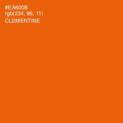 #EA600B - Clementine Color Image