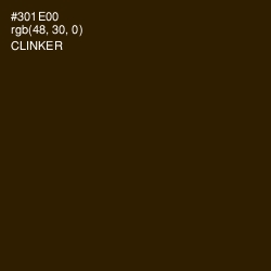 #301E00 - Clinker Color Image