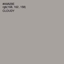 #A8A29E - Cloudy Color Image