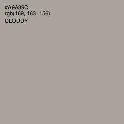 #A9A39C - Cloudy Color Image