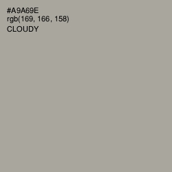 #A9A69E - Cloudy Color Image