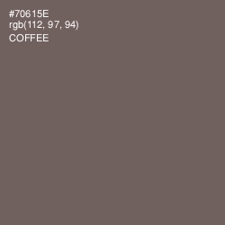 #70615E - Coffee Color Image