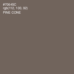 #70645C - Coffee Color Image