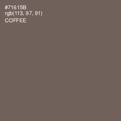 #71615B - Coffee Color Image