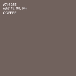 #71625E - Coffee Color Image