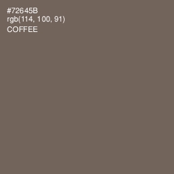 #72645B - Coffee Color Image
