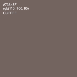 #73645F - Coffee Color Image