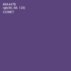 #5A447B - Comet Color Image