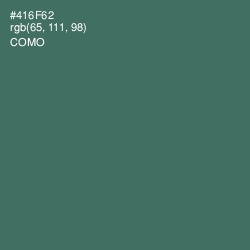 #416F62 - Como Color Image