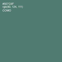 #507C6F - Como Color Image