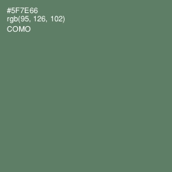 #5F7E66 - Como Color Image