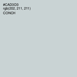 #CAD3D3 - Conch Color Image