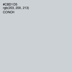 #CBD1D5 - Conch Color Image