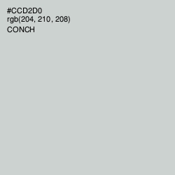 #CCD2D0 - Conch Color Image