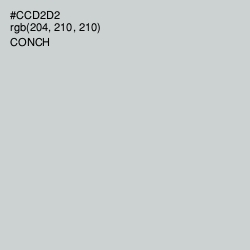 #CCD2D2 - Conch Color Image