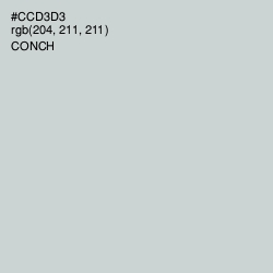 #CCD3D3 - Conch Color Image