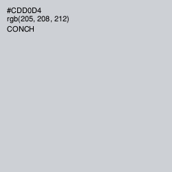 #CDD0D4 - Conch Color Image