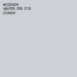 #CDD0D5 - Conch Color Image