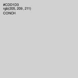 #CDD1D3 - Conch Color Image