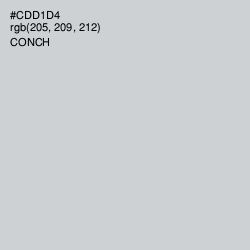 #CDD1D4 - Conch Color Image