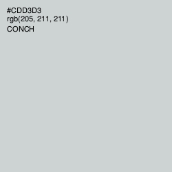 #CDD3D3 - Conch Color Image