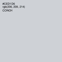 #CED1D6 - Conch Color Image