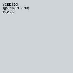 #CED3D5 - Conch Color Image