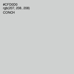 #CFD0D0 - Conch Color Image