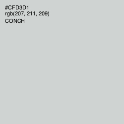 #CFD3D1 - Conch Color Image