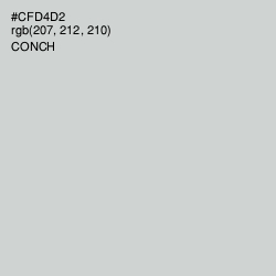 #CFD4D2 - Conch Color Image